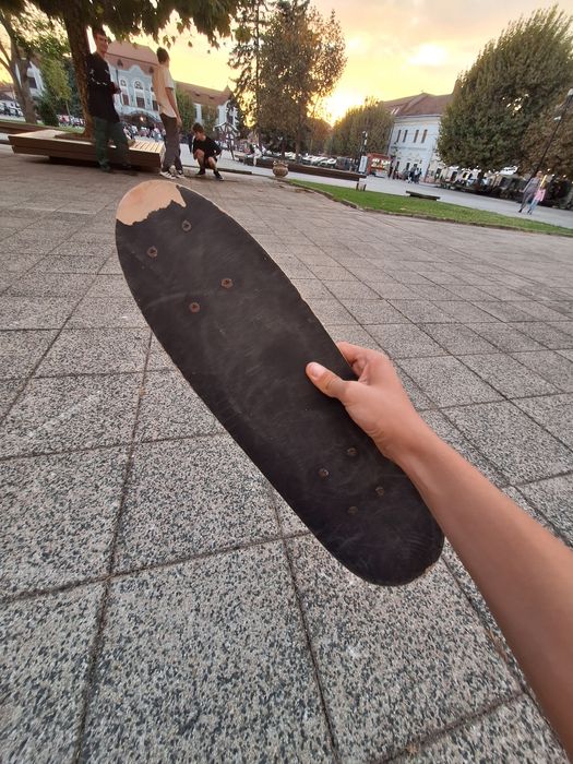 Placă skateboard King's Downhill