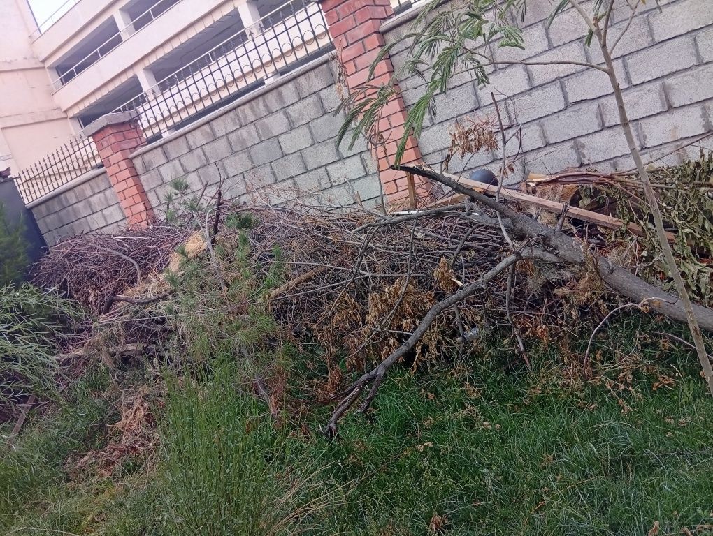 Отдам даром дрова