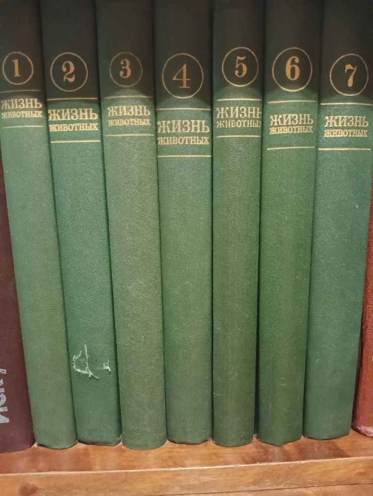 Энциклопедия в 7 томах