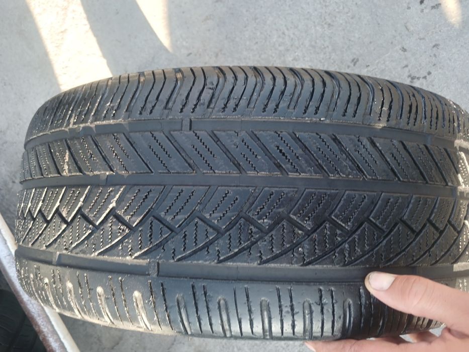 17 vossen saka diska balon