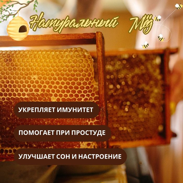 Натуральный Алтайский мёд