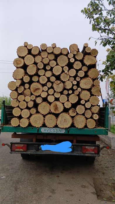 Lemn pentru foc salcam