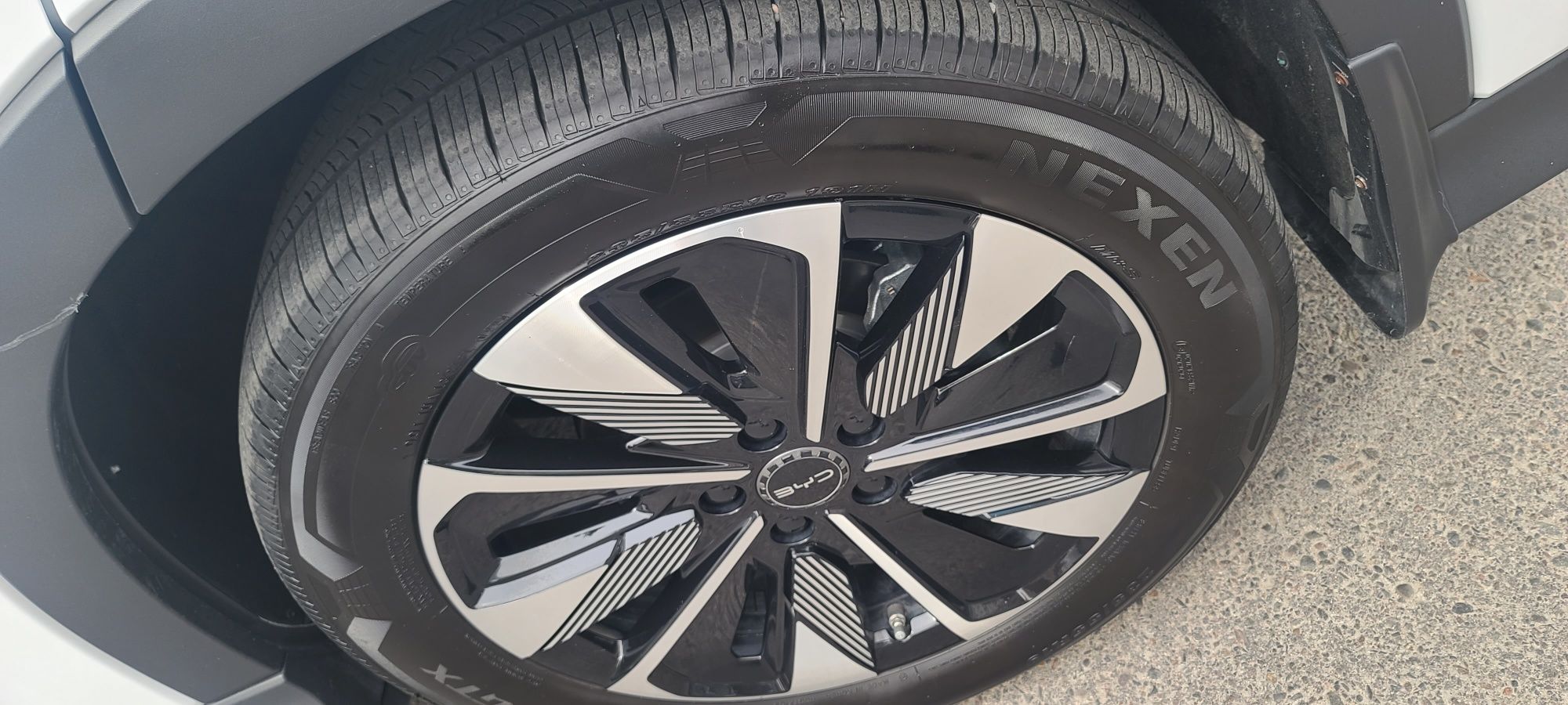 Продам свой BYD Champion 2025 model 605км