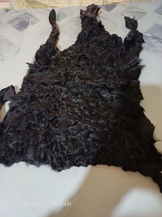 Каракуль шкурки