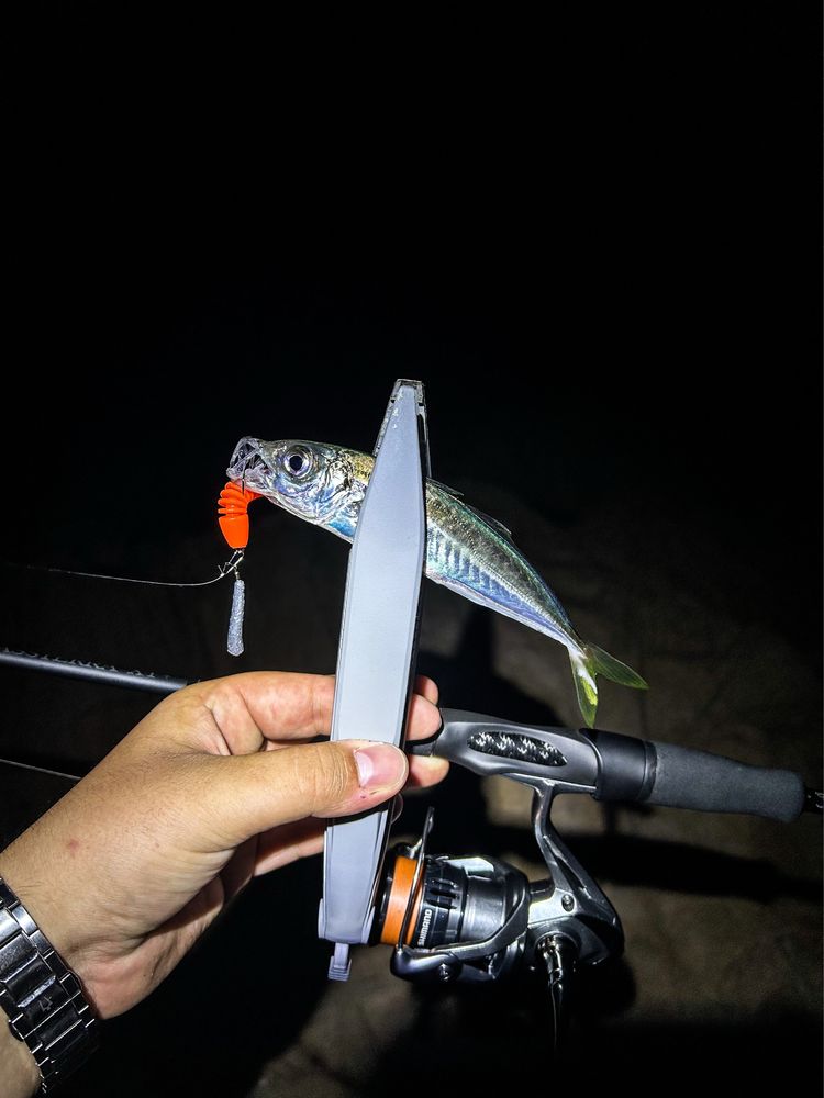 Сет за LRF риболов Shimano Bassterra/Shimano Nasci