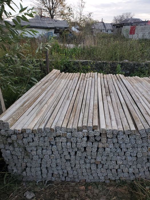 Vand spalieri , pari de beton Italia