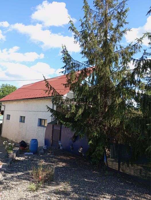 Imobil in regim P+M, Bistrita, Unirea la DN (cititi descerierea)