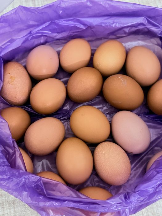 Продам яйцо домашнее