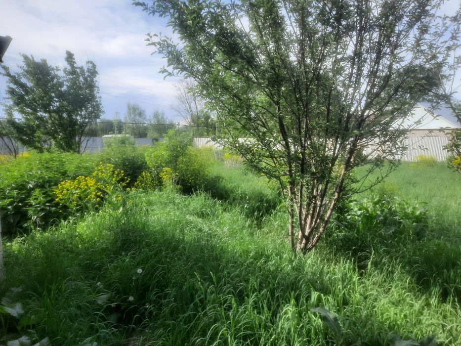 Сдам в аренду дом