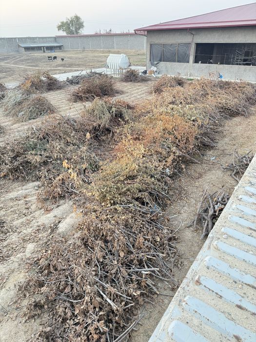 ötin. дрова. даром