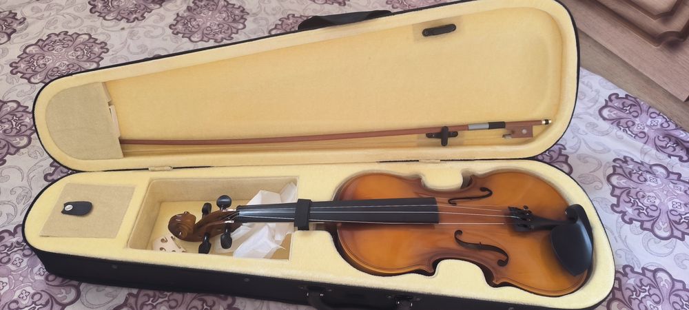 Скрипка 4/4 учебный и акустическая 6 струнная гитара