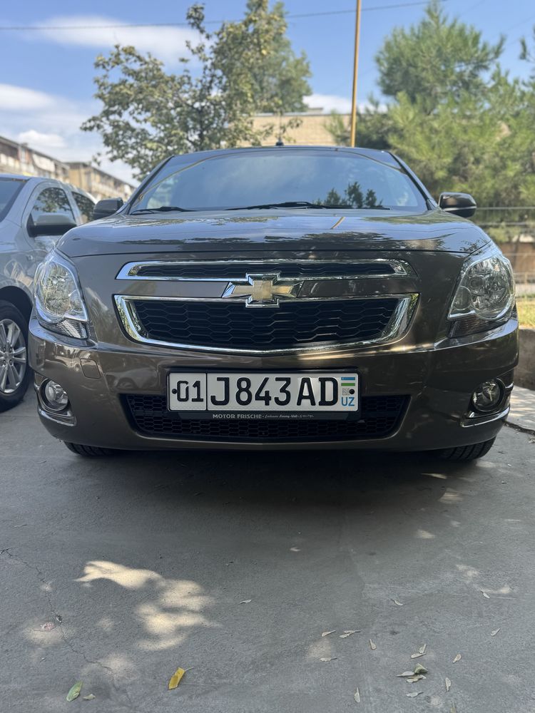 Cobalt Zeus 2023