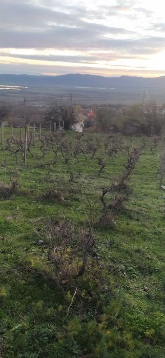 Продава се Парцел в Карлово - 1000 кв.м за 5 €/кв.м - Снимка #3