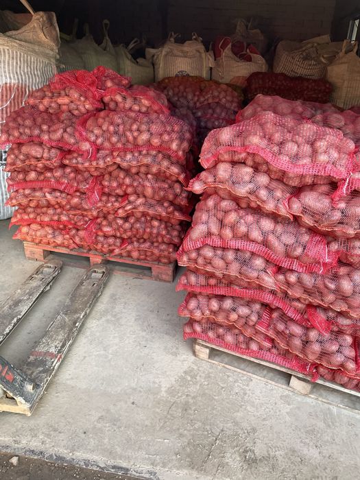 Cartofi consum recent ambalat