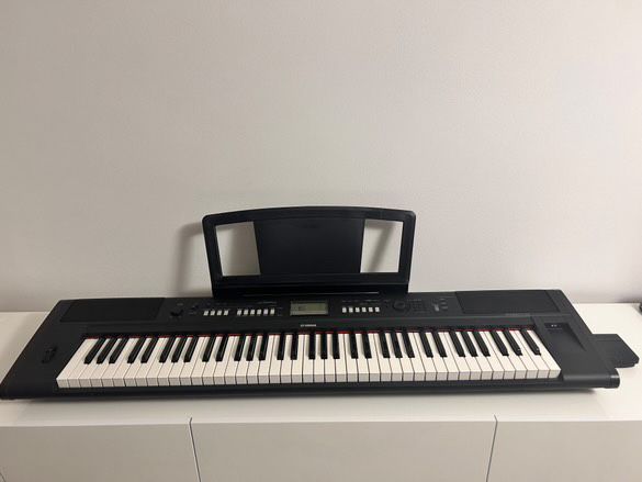 orga piaggero NP-V80