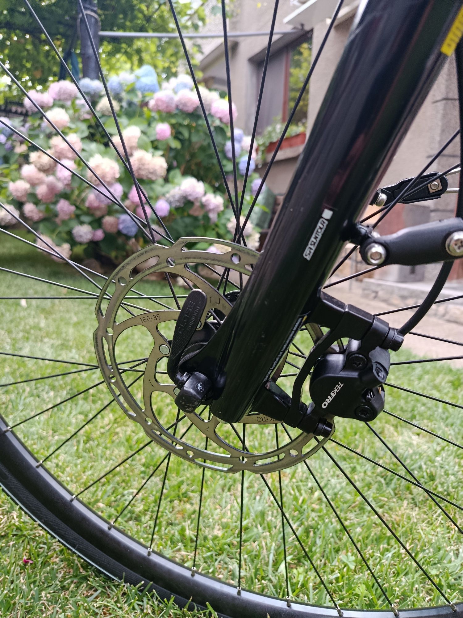 Pegasus Ancura E8R Disc 28
