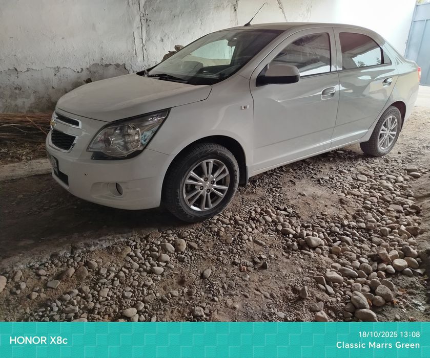 2024 yil yangi kobult