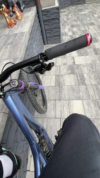vand devinci wilson 2019