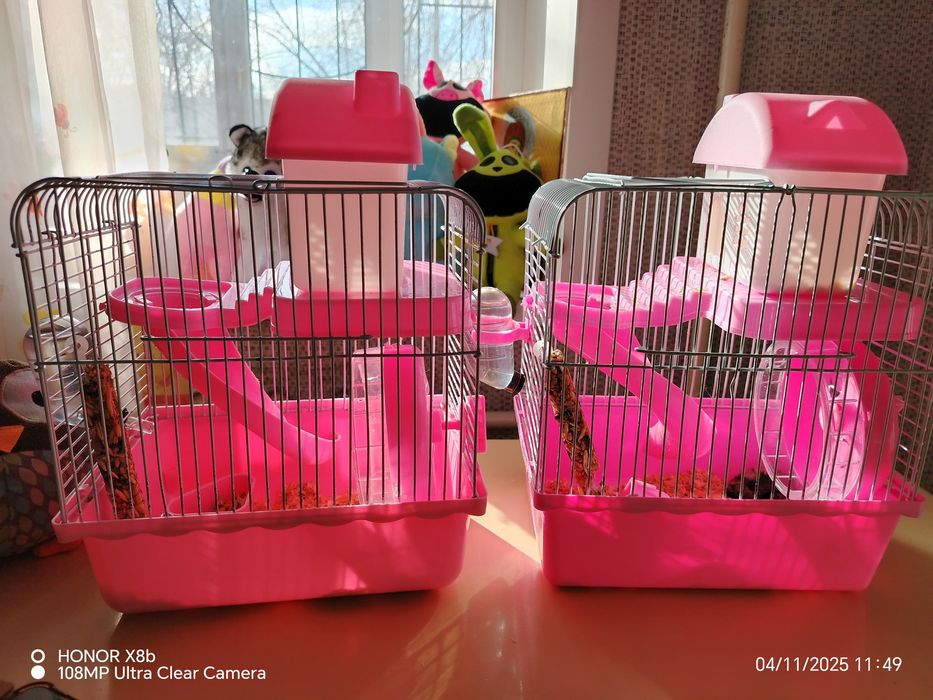 Продам джунгариков