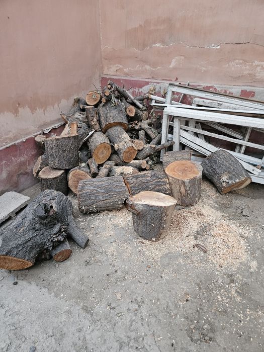 O'rik o'tin sotiladi