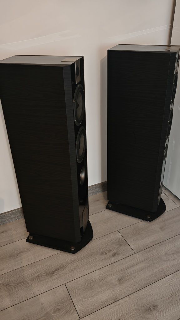 Focal chorus 816 w