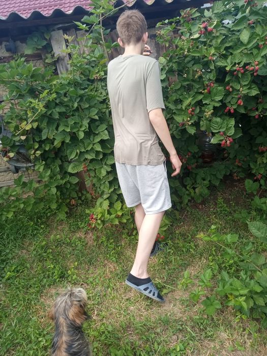 Tund gazon, curte, grădină