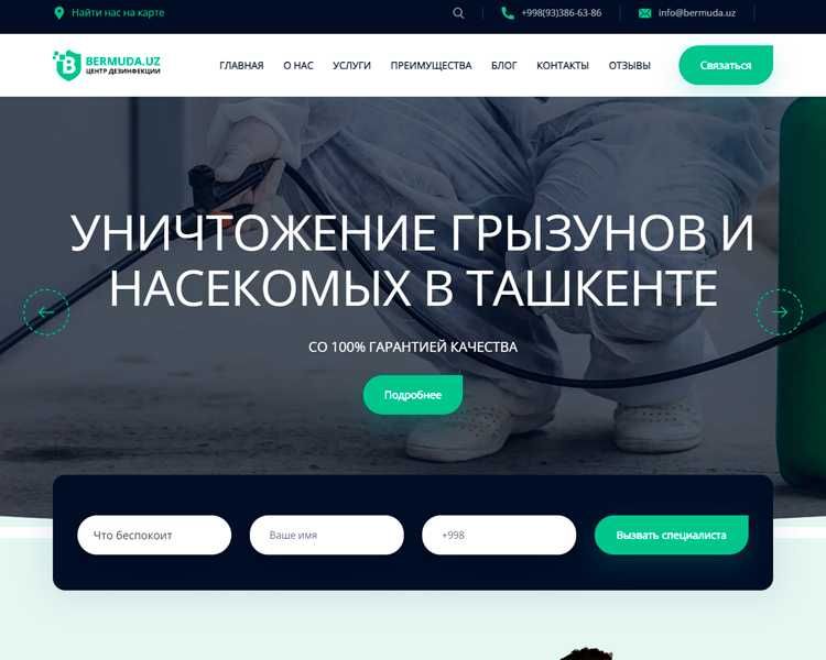 Разработка сайтов . Программист с 12-летним опытом