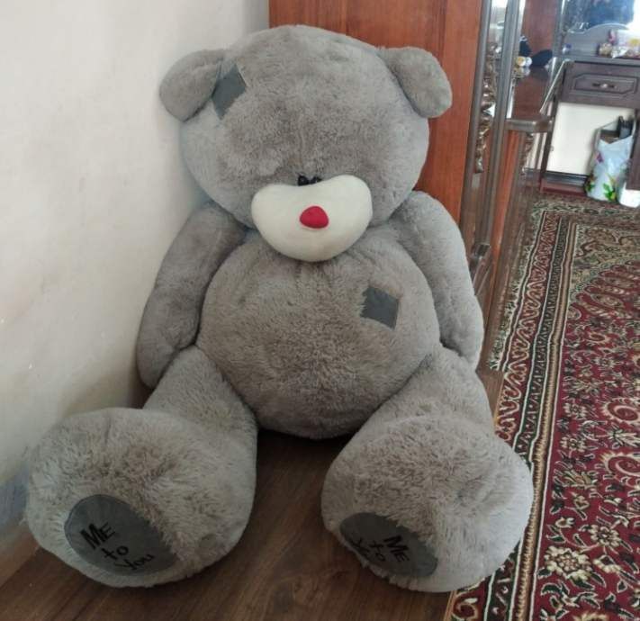 Teddy    bo'yi 1 metr.