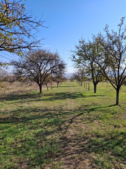 Casa de vanzare in Partos