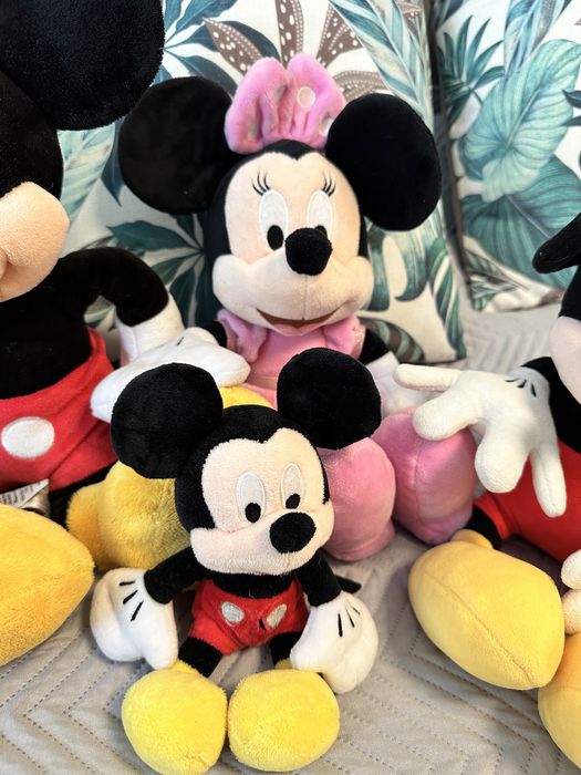 mikey и miny mouse цяло семейство от disneyland