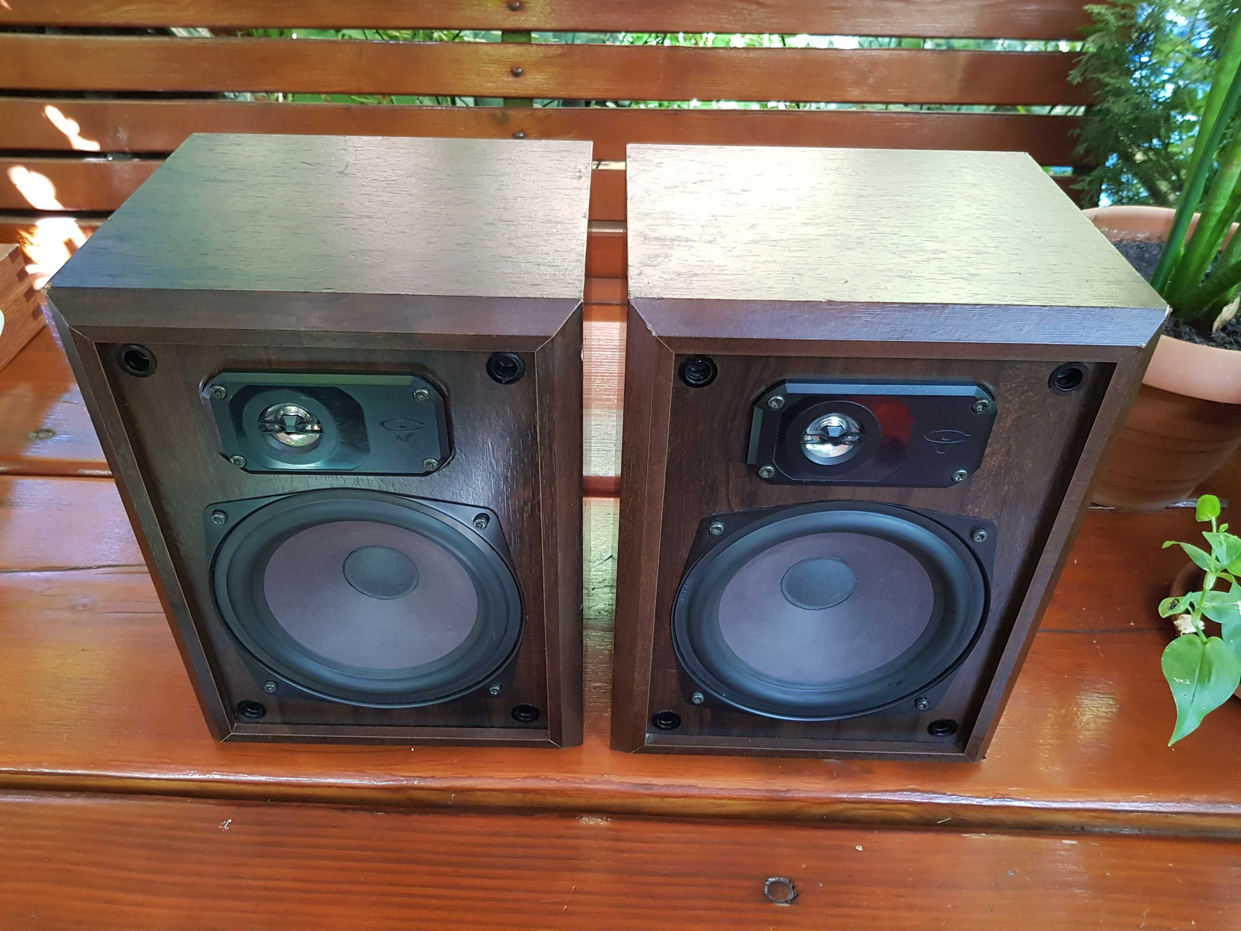 Boxe Cerwin Vega AT-12SW / 100W / 8 Ohm / Protectie Tweetere