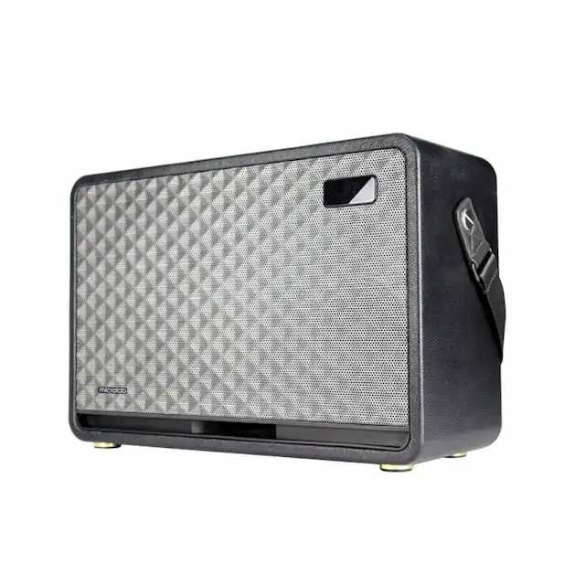 Колонка портативная Microlab KTV200 PRO / 120W RMS, Bluetooth 5.0
