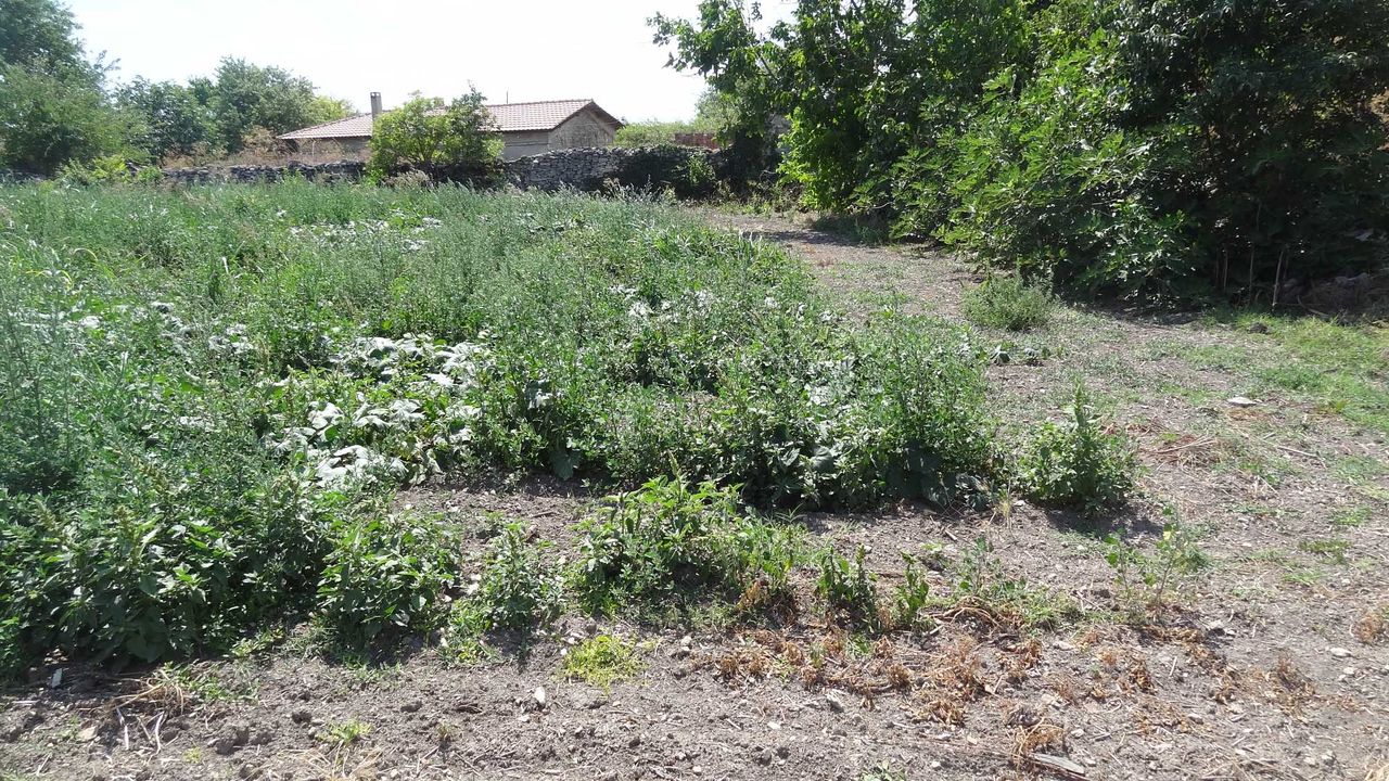 Продава се Парцел в с. Българево, Област Добрич - 2000 кв.м за 20 €/кв.м - Снимка #5