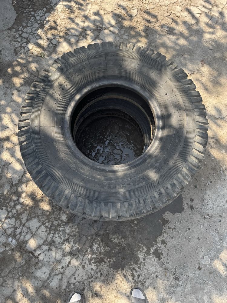 шины R 12.00.20