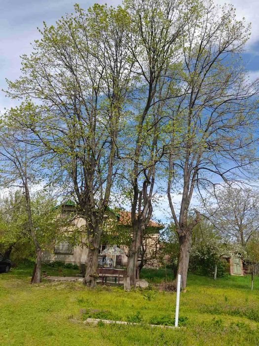 Продава се Къща в София, 7-ми 11-ти километър - 75 кв.м за 307 €/кв.м - Снимка #12