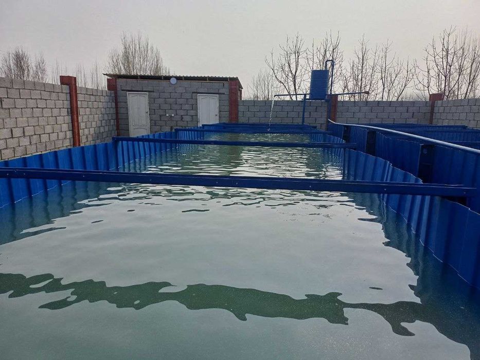 Хакулобод тумани, Ленинобод кишлогида баликхона сотилади