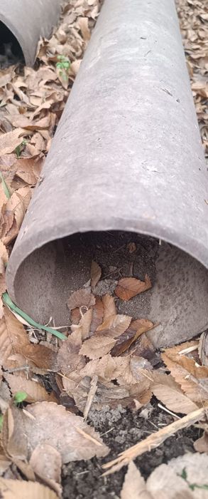 Труба диаметр 168 стенка 8 мм безшова новый лежак длина 10 метр  (8 шт