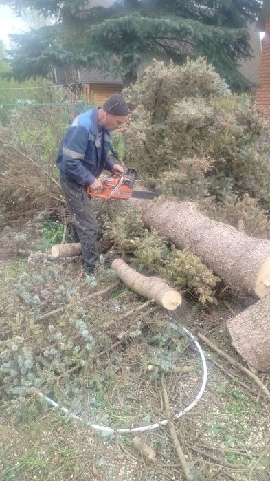Дарахт кесиш хизмати спилим дерево обрезка
