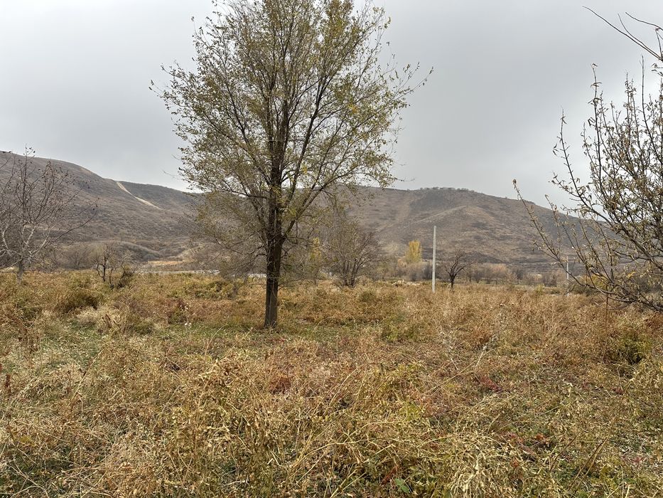 Участок 5 соток каскелен