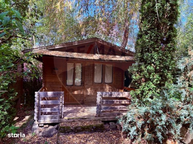 Ansamblu de 7 Căsuțe de Vacanță, Ocna Șugatag