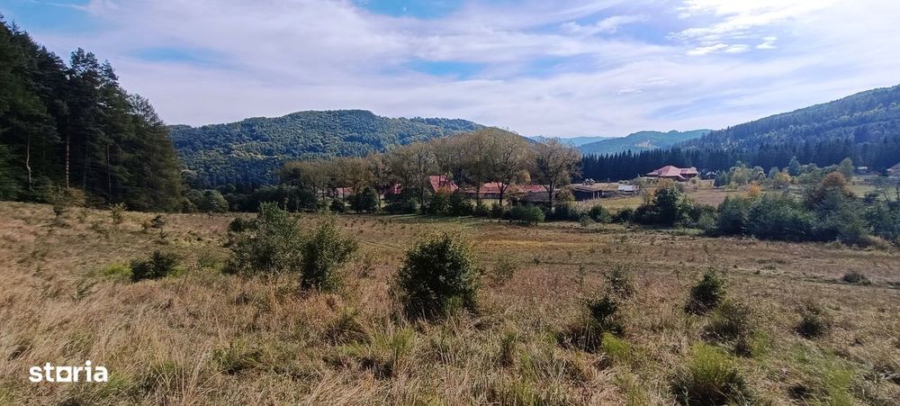 teren in zona Bradet-Sacele