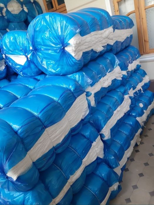 Toy paxta Paxtadek Oppoq