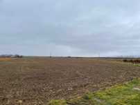 Teren de vanzare in Avrig 6500 mp