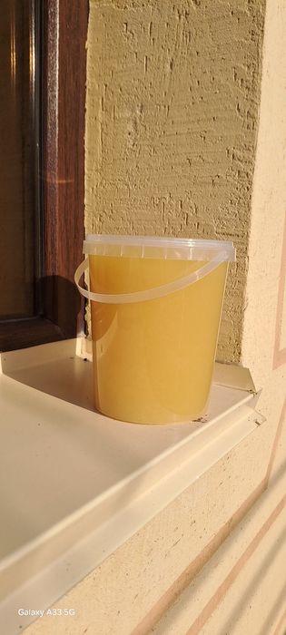 Конский жир топлёный. Жылқы майы