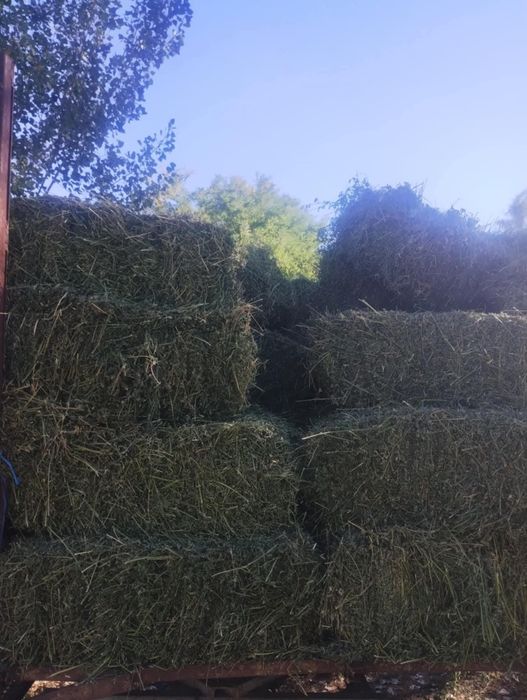Продавам бали люцерна