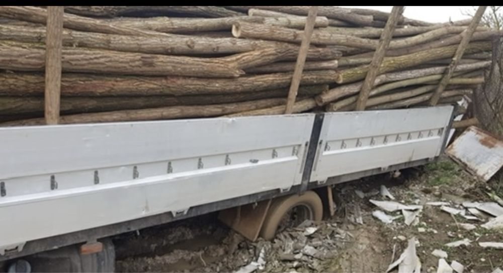 Stalpi de salcam pt gard sau terase rustice