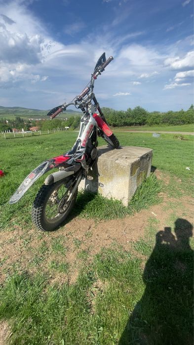 Beta Rev 3 250 trial
