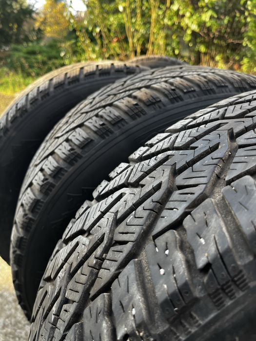 Roti iarna R16 215/60