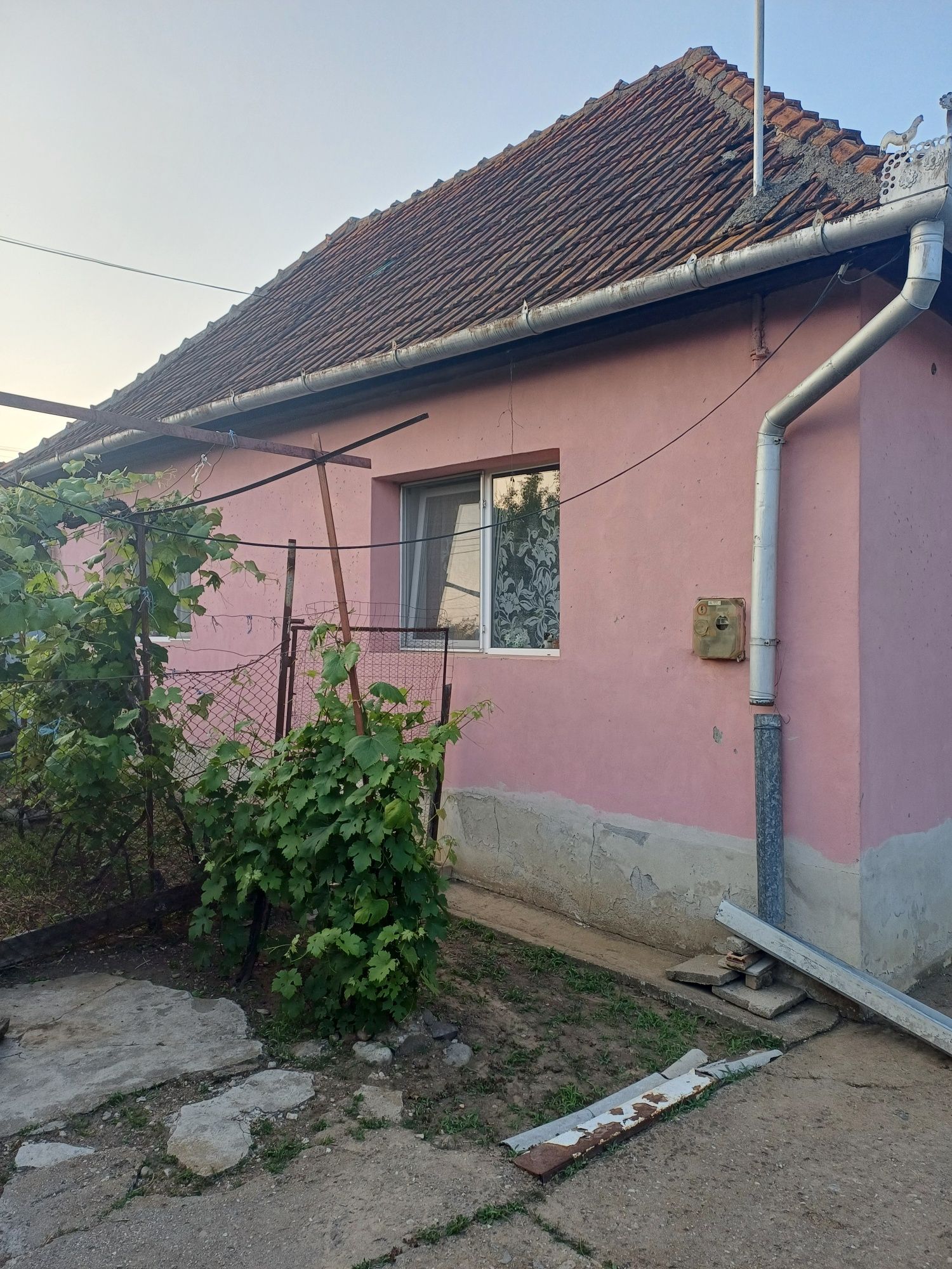 Casa de vanzare cu gradina