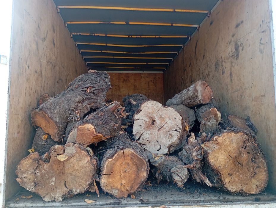 Курик утин сотилади